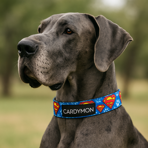 Collares Animados para Mascotas