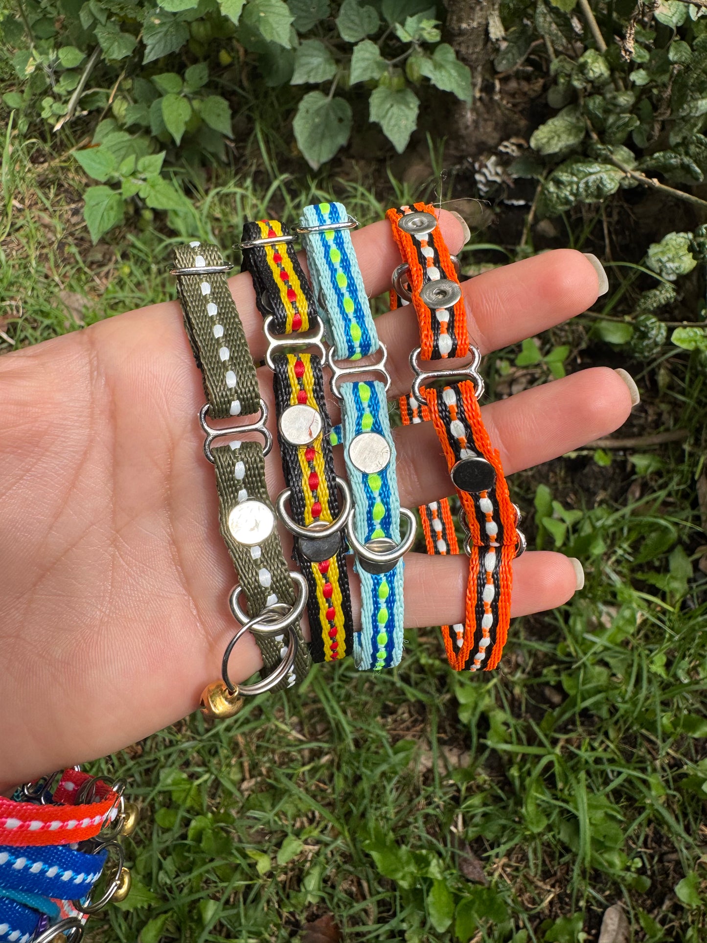 Collares para Gatos