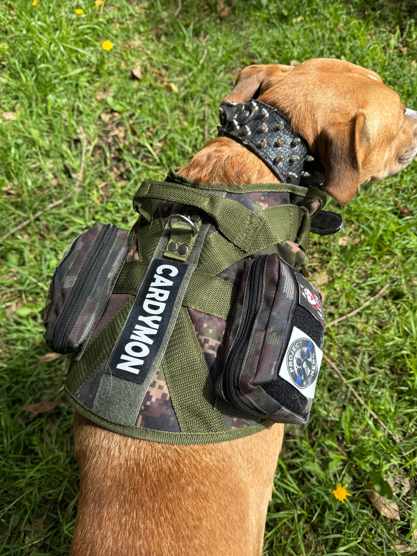 Chaleco Tactico para Perros