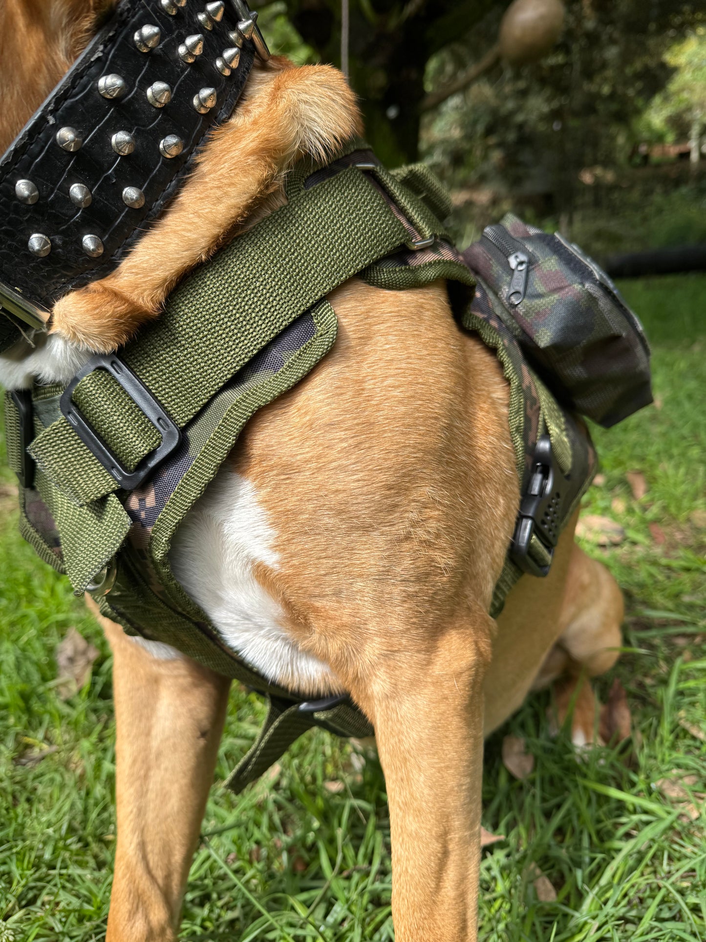 Chaleco Tactico para Perros