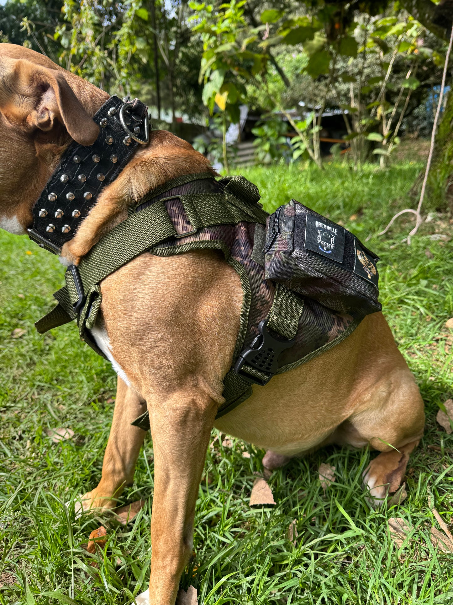 Chaleco Tactico para Perros