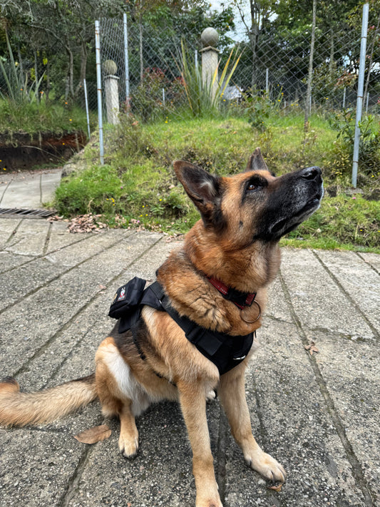 Chaleco_Tactico_para_perros frontal