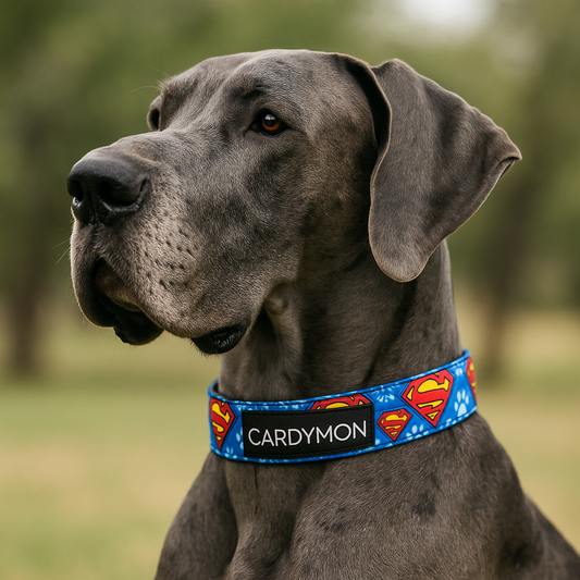 Collares Animados para Mascotas