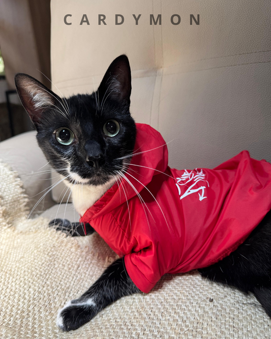 Chaqueta Antifluido para Mascotas
