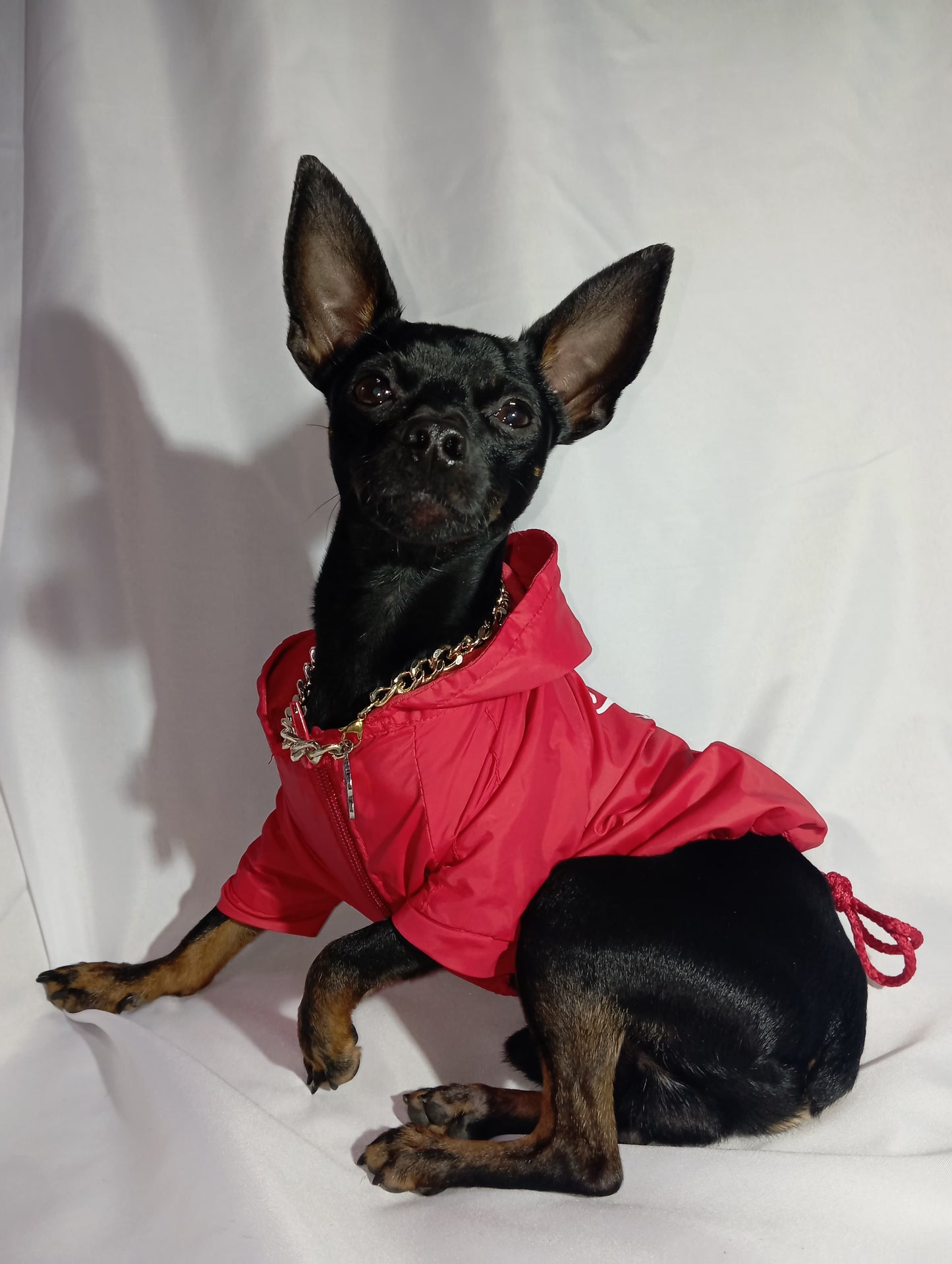 Chaqueta Antifluido para Mascotas