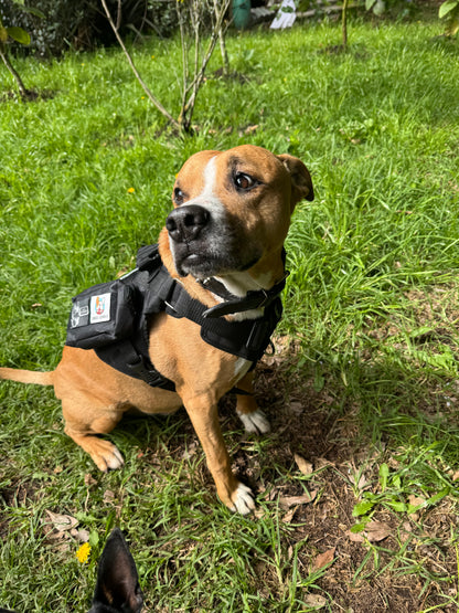 Chaleco Tactico para Perros