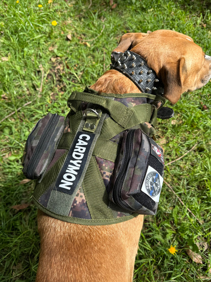 Chaleco Tactico para Perros