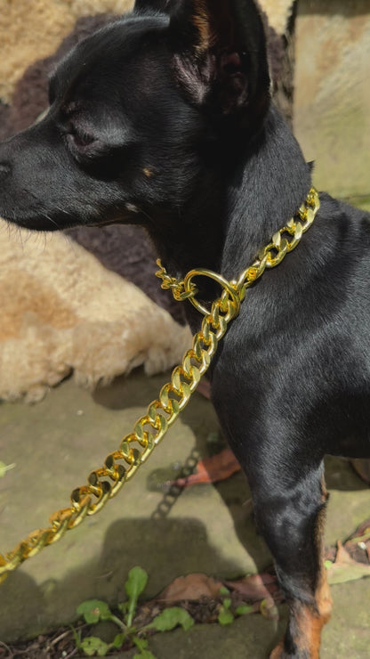 Cubanas para Perros de Ahogo