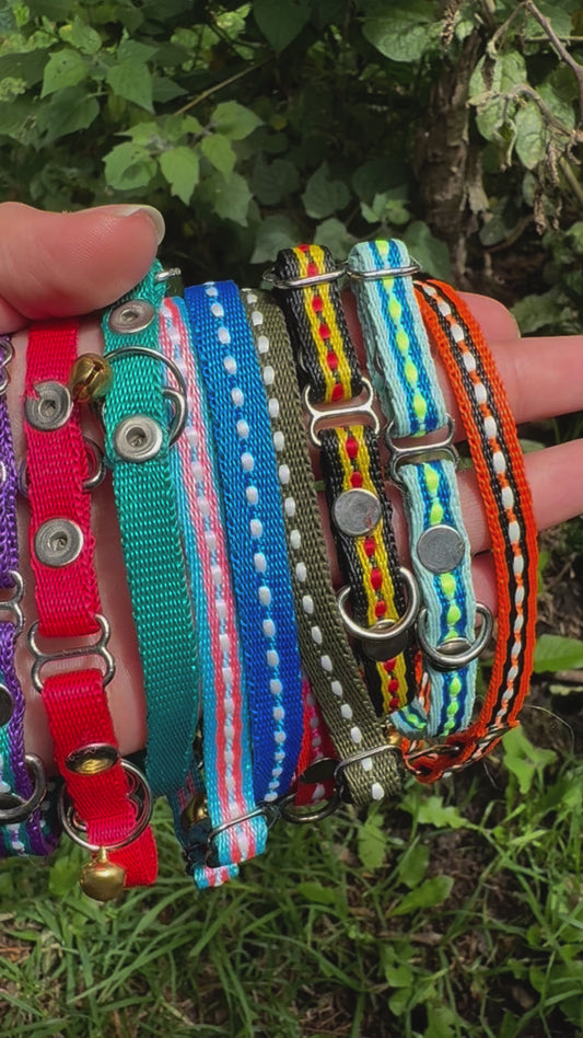 Collares para Gatos