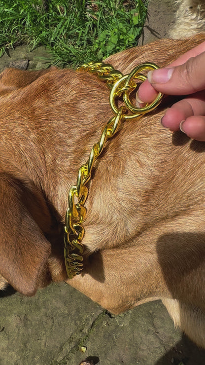 Cubanas para Perros de Ahogo
